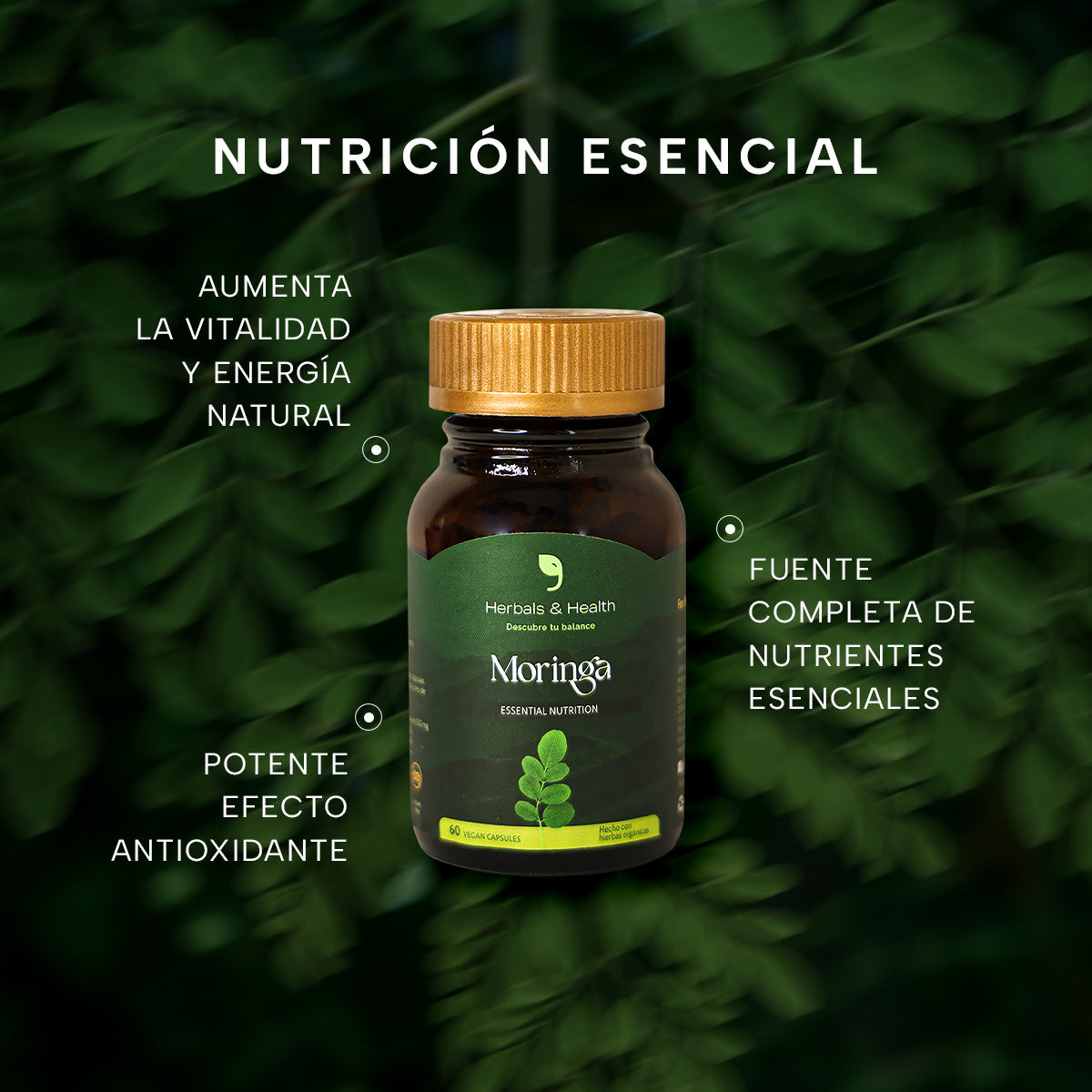 Moringa